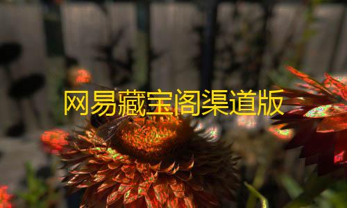 暗区突围破解版下载无限币最新网易藏宝阁渠道版